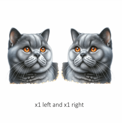 Gray British Shorthair Cat With Amber Eyes Vinyl Sticker Decal