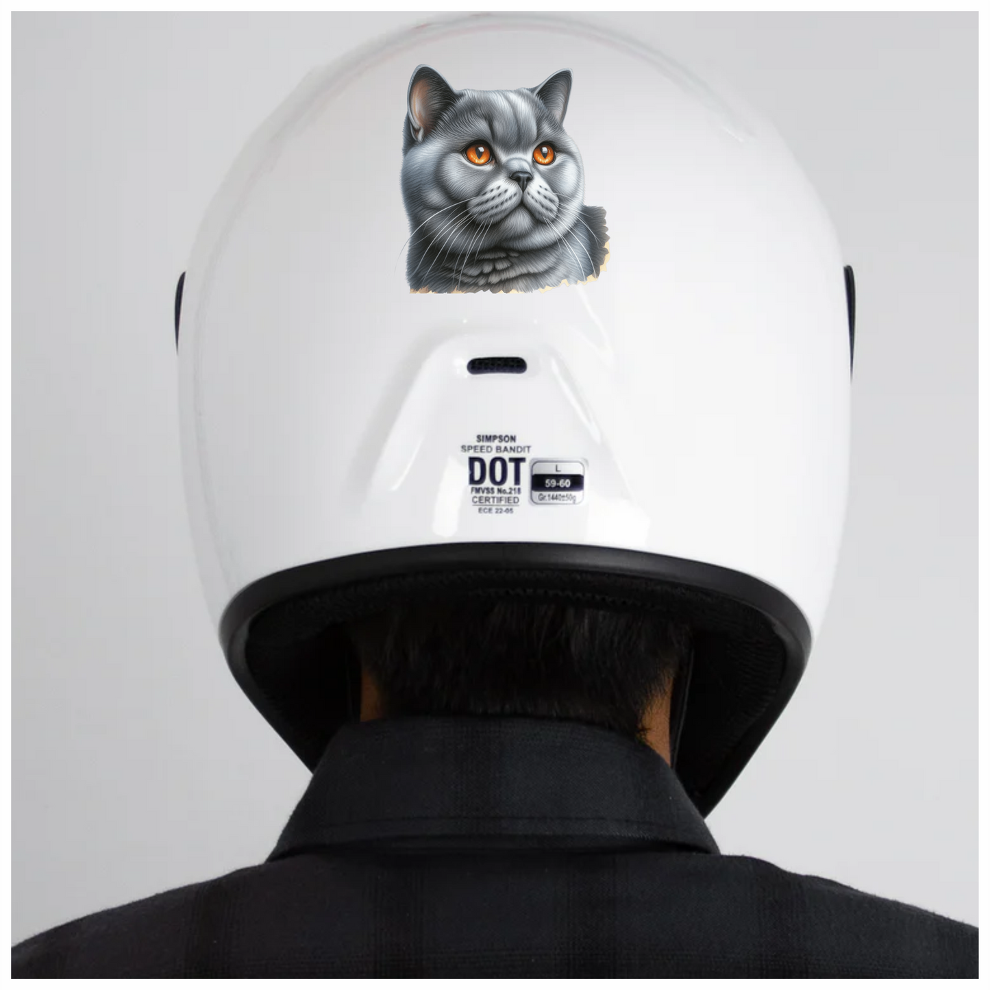 Gray British Shorthair Cat With Amber Eyes Vinyl Sticker Decal