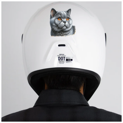 Gray British Shorthair Cat With Amber Eyes Vinyl Sticker Decal