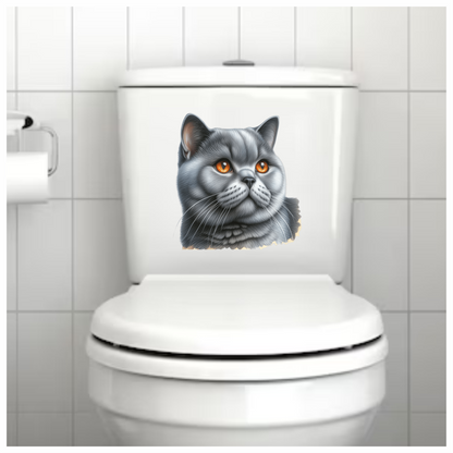 Gray British Shorthair Cat With Amber Eyes Vinyl Sticker Decal