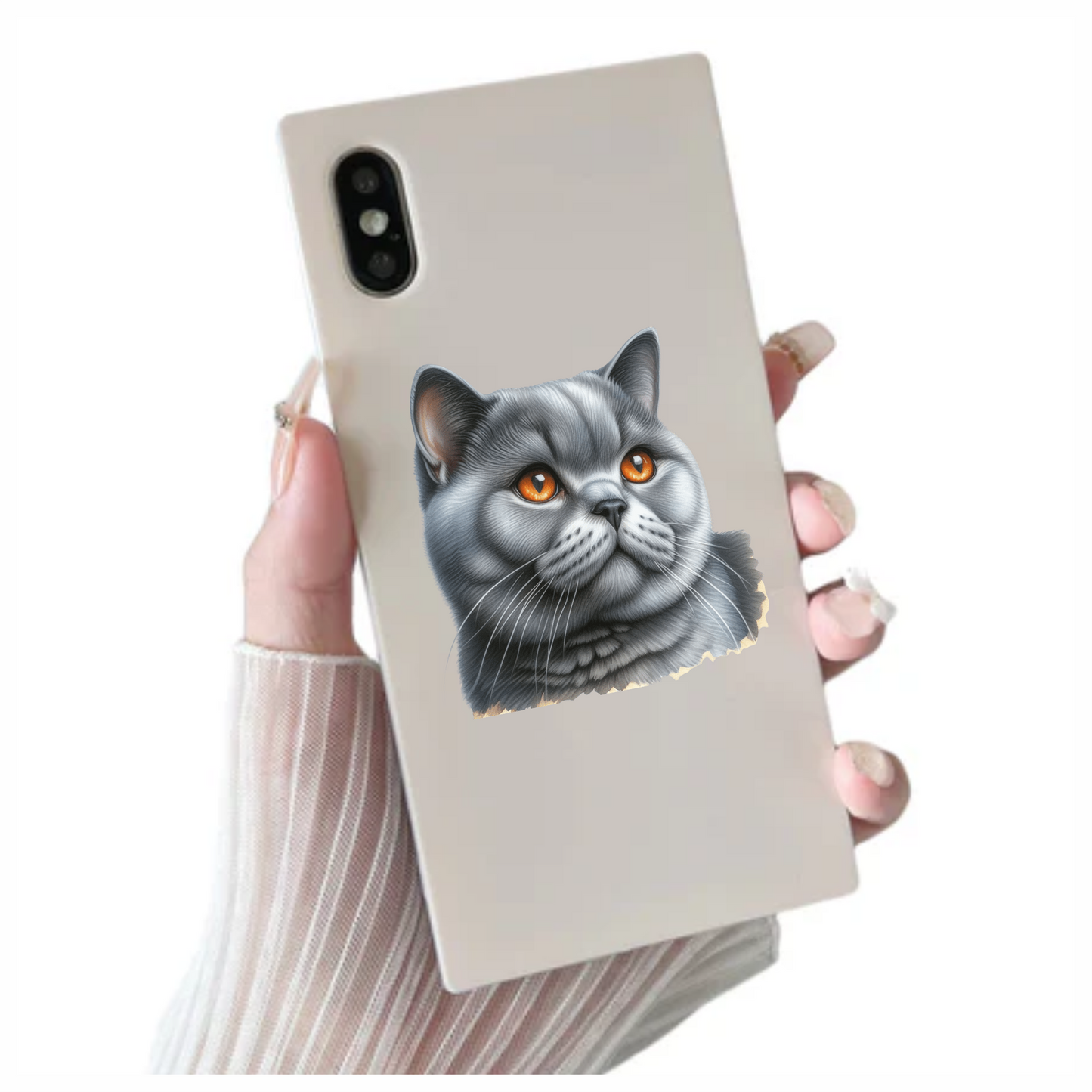 Gray British Shorthair Cat With Amber Eyes Vinyl Sticker Decal