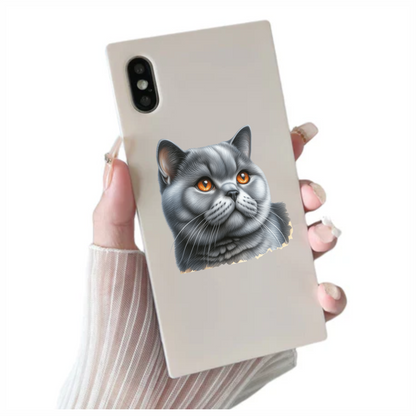 Gray British Shorthair Cat With Amber Eyes Vinyl Sticker Decal