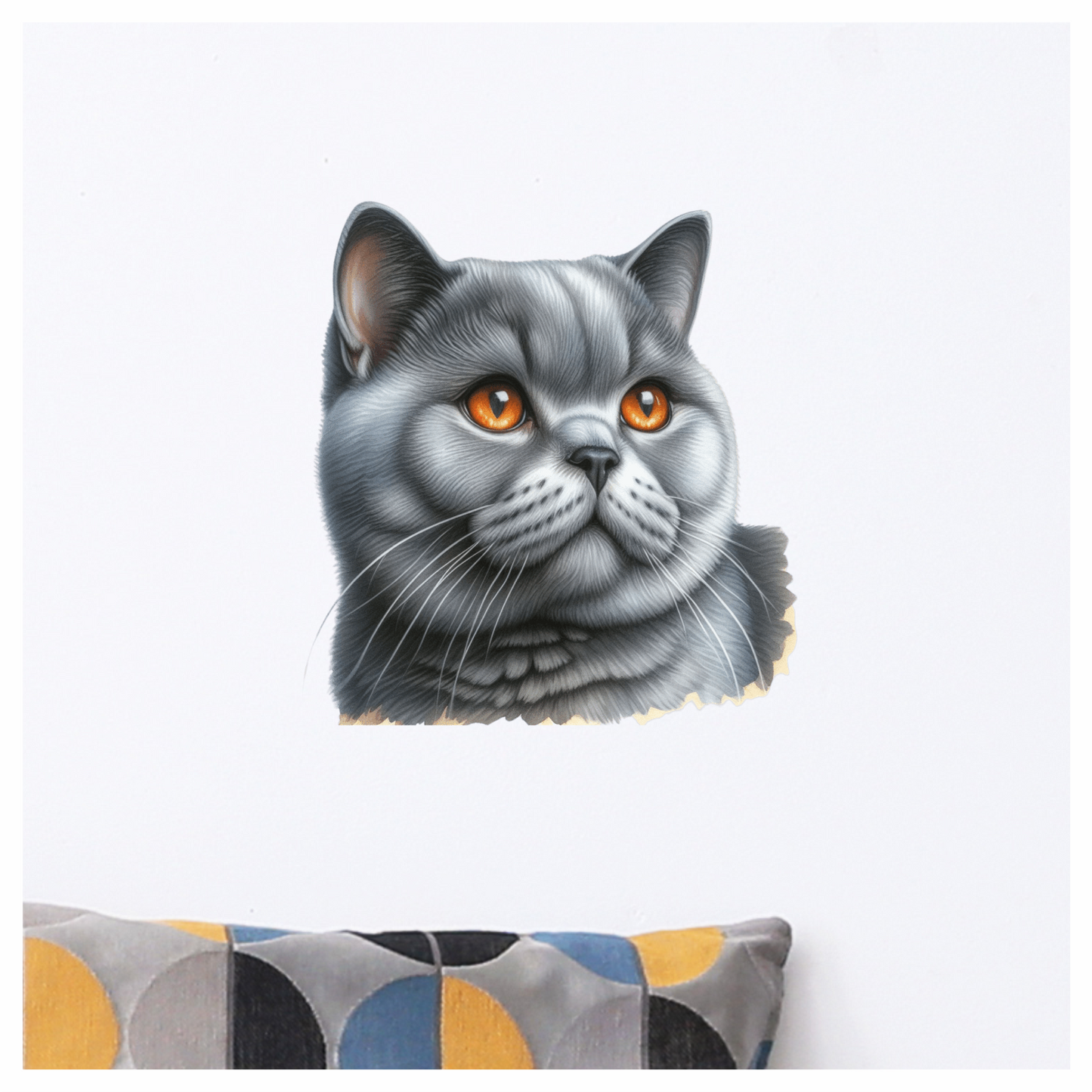 Gray British Shorthair Cat With Amber Eyes Vinyl Sticker Decal