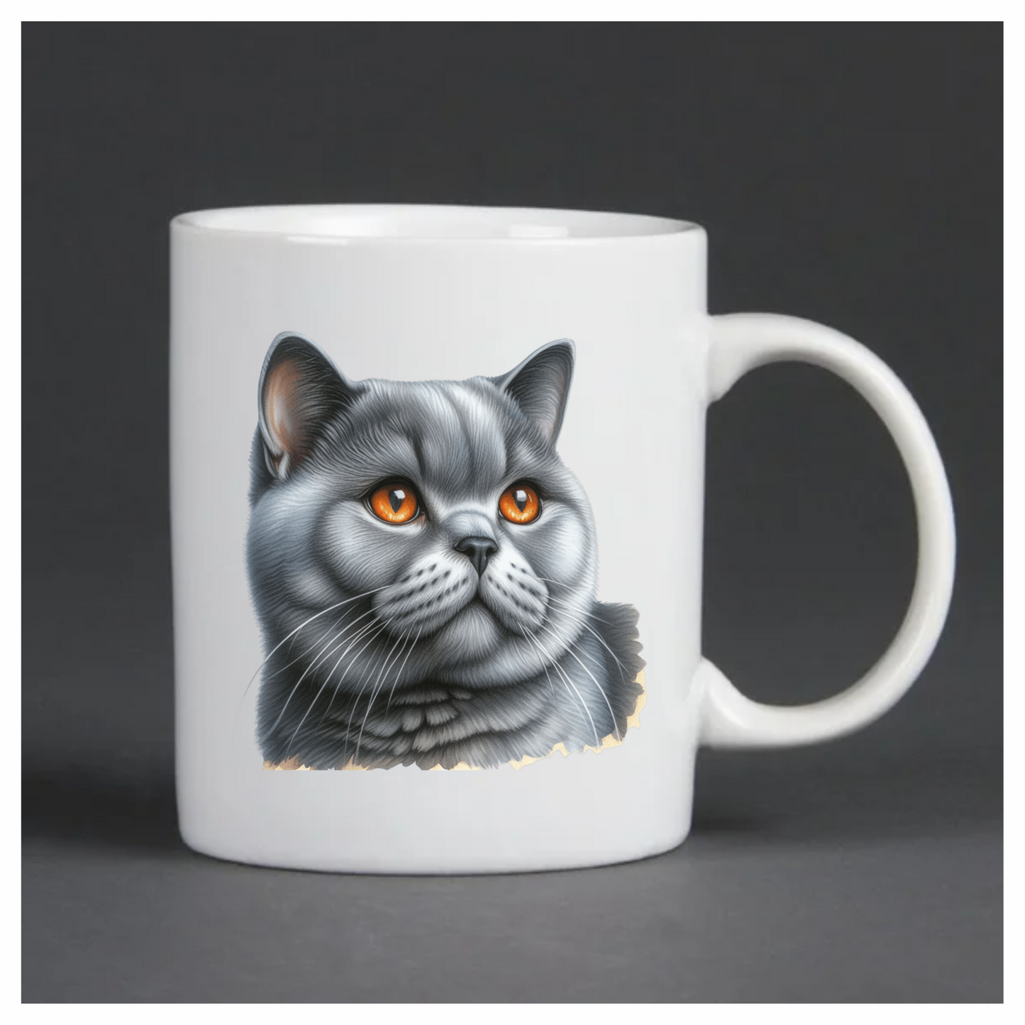 Gray British Shorthair Cat With Amber Eyes Vinyl Sticker Decal