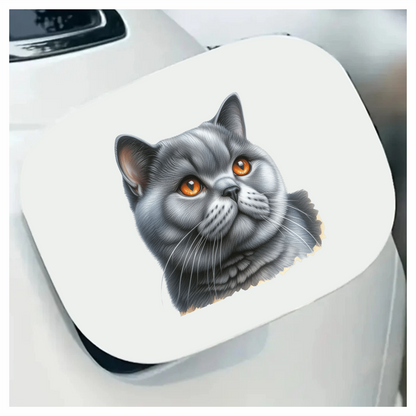 Gray British Shorthair Cat With Amber Eyes Vinyl Sticker Decal