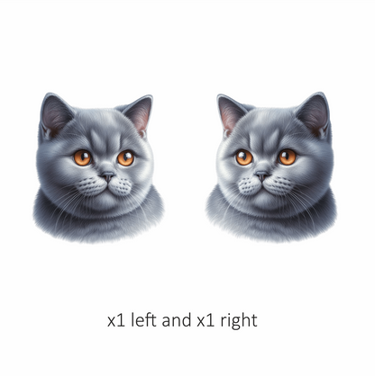 Gray British Shorthair Cat With Orange Eyes Vinyl Sticker Decal