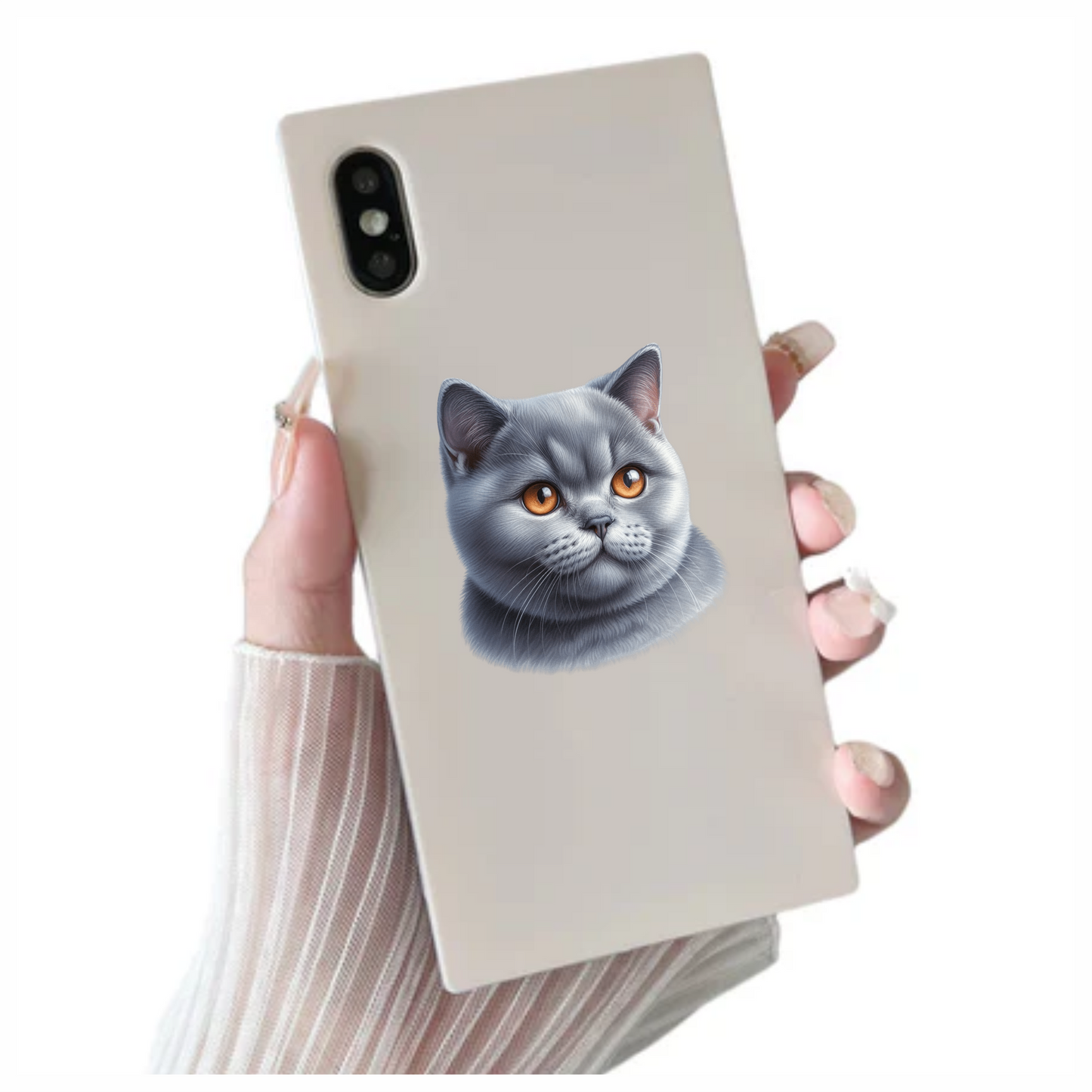 Gray British Shorthair Cat With Orange Eyes Vinyl Sticker Decal