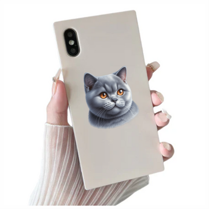 Gray British Shorthair Cat With Orange Eyes Vinyl Sticker Decal