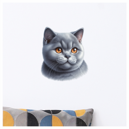 Gray British Shorthair Cat With Orange Eyes Vinyl Sticker Decal