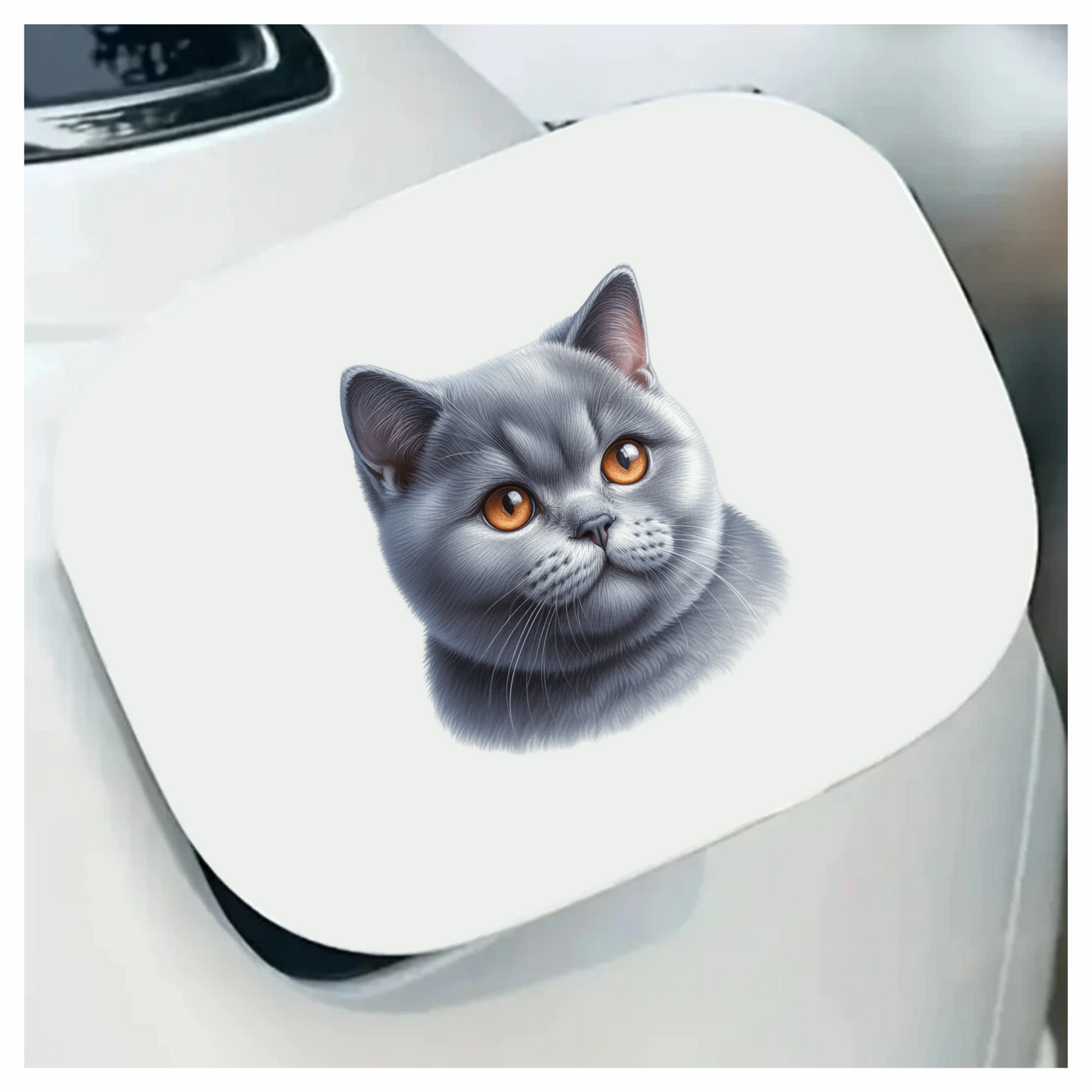 Gray British Shorthair Cat With Orange Eyes Vinyl Sticker Decal