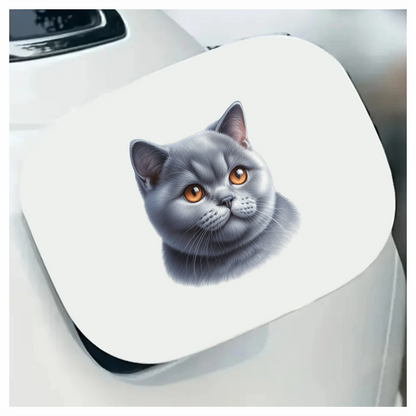 Gray British Shorthair Cat With Orange Eyes Vinyl Sticker Decal
