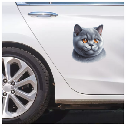 Gray British Shorthair Cat With Orange Eyes Vinyl Sticker Decal