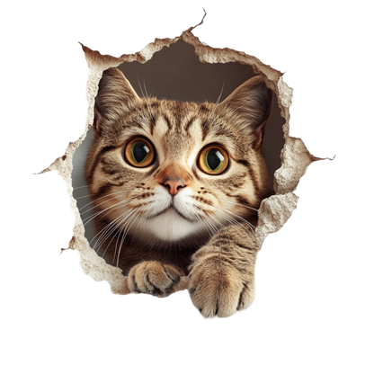 Brown Tabby Cat With Green Eyes Vinyl Sticker Decal