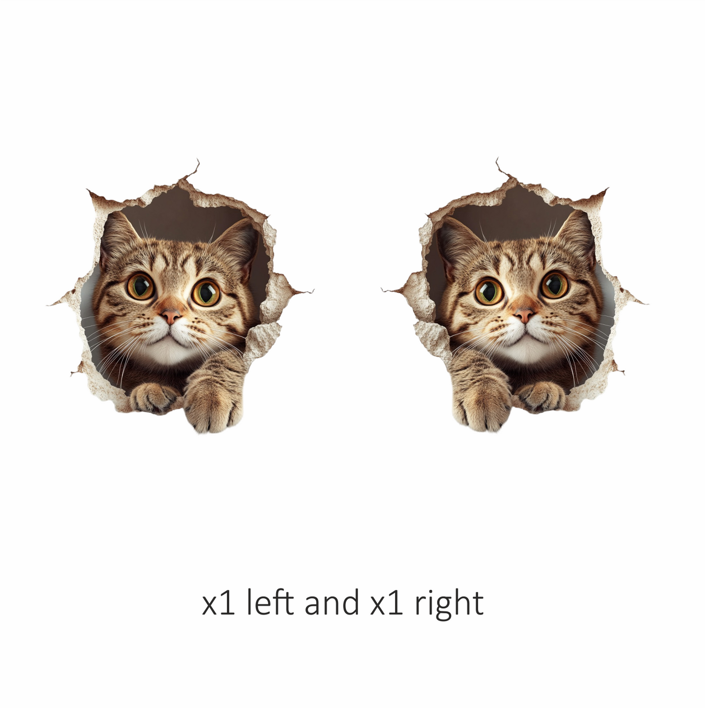 Brown Tabby Cat With Green Eyes Vinyl Sticker Decal