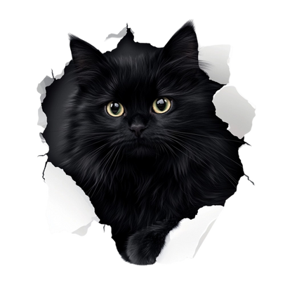 Black Longhair Cat With Yellow Eyes Vinyl Sticker Decal