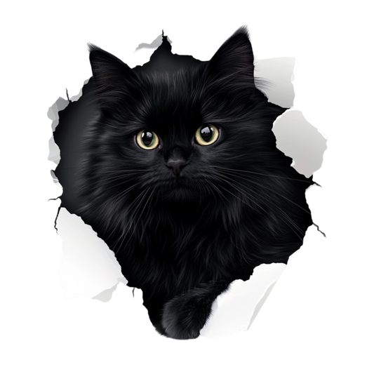 Black Longhair Cat With Yellow Eyes Vinyl Sticker Decal