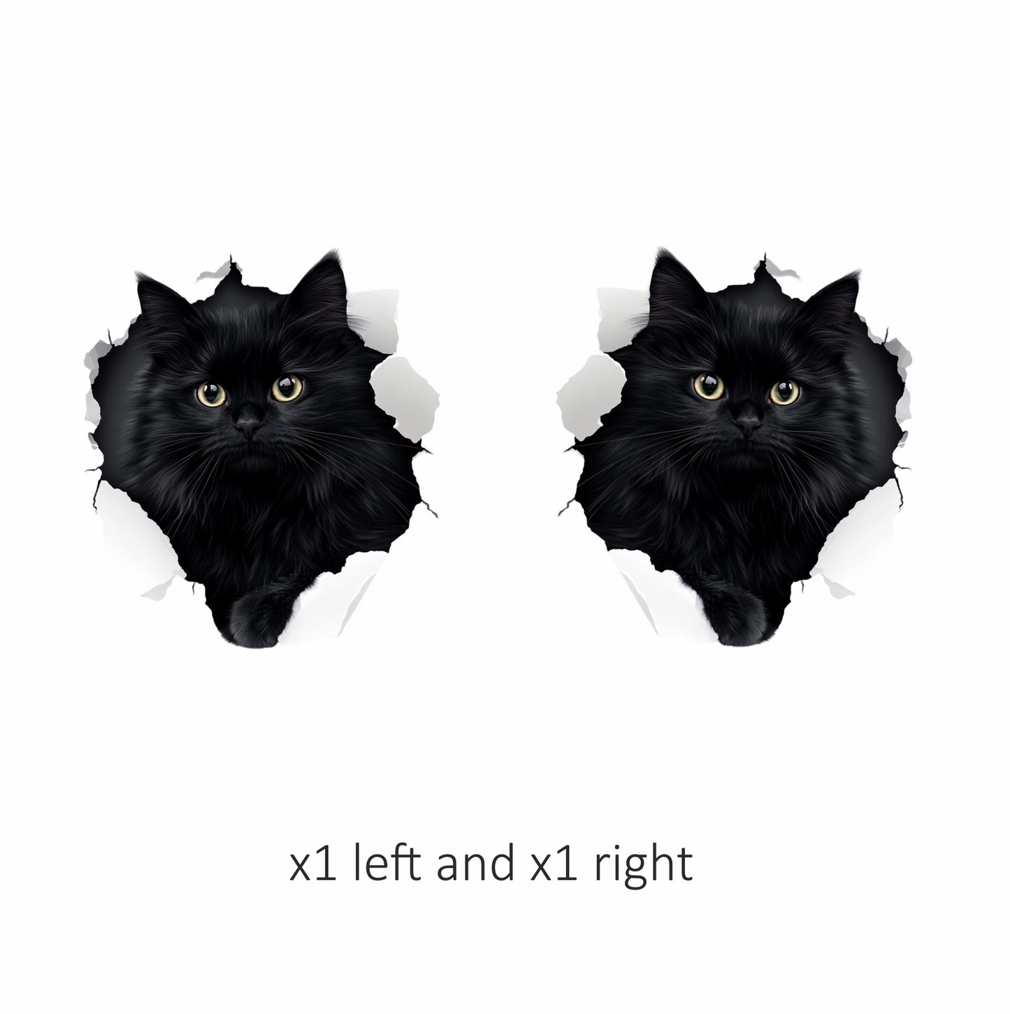Black Longhair Cat With Yellow Eyes Vinyl Sticker Decal