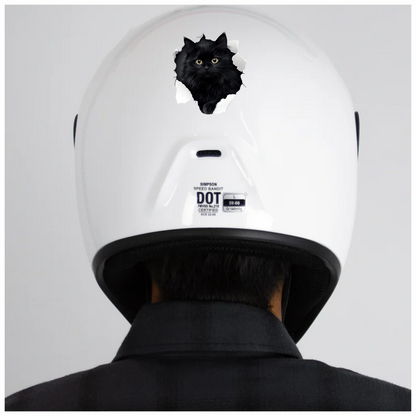 Black Longhair Cat With Yellow Eyes Vinyl Sticker Decal