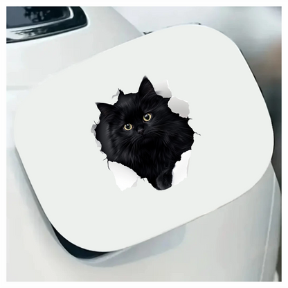 Black Longhair Cat With Yellow Eyes Vinyl Sticker Decal