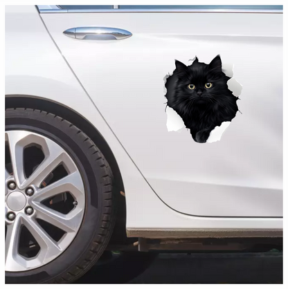 Black Longhair Cat With Yellow Eyes Vinyl Sticker Decal