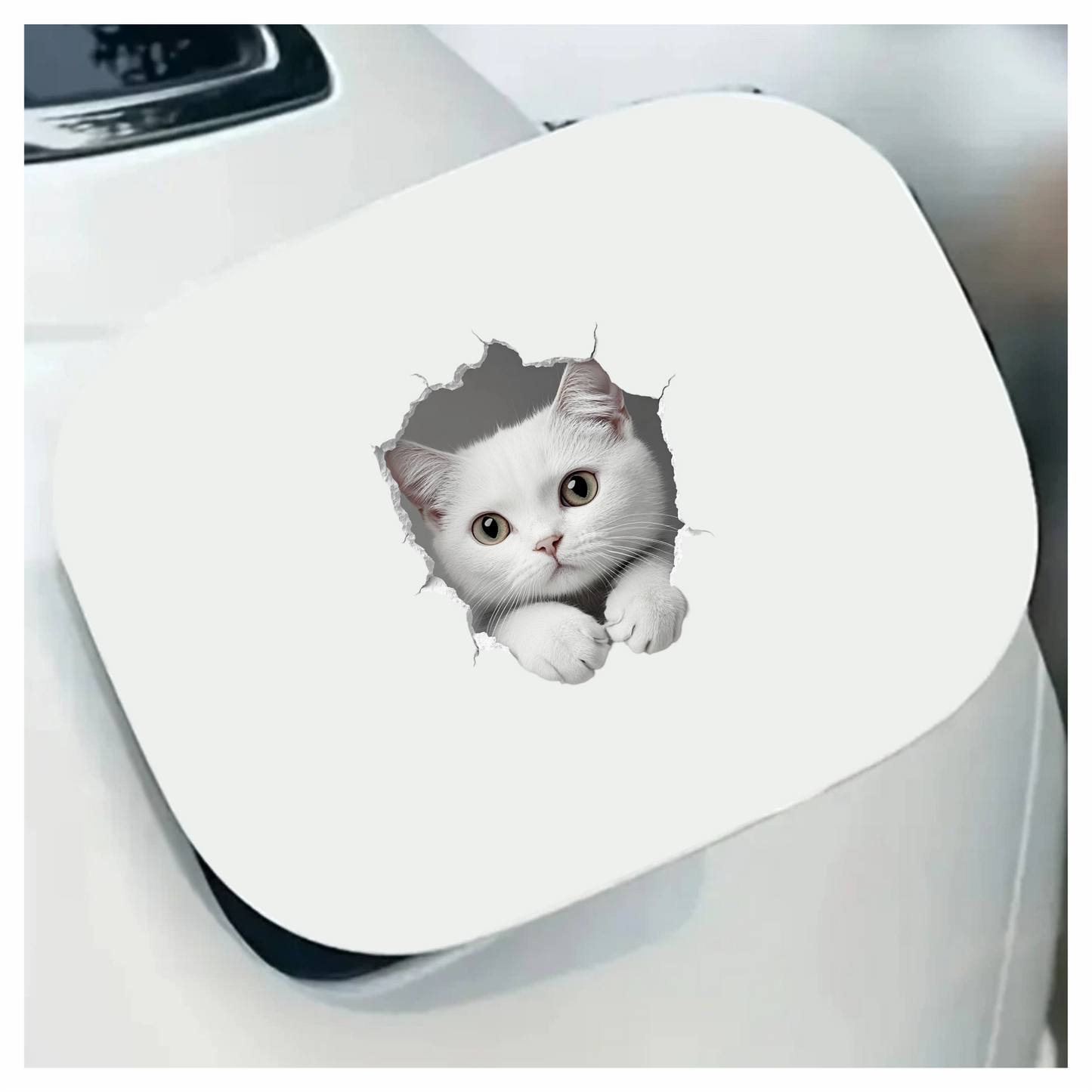 White Shorthaired Cat With Green Eyes Vinyl Sticker Decal