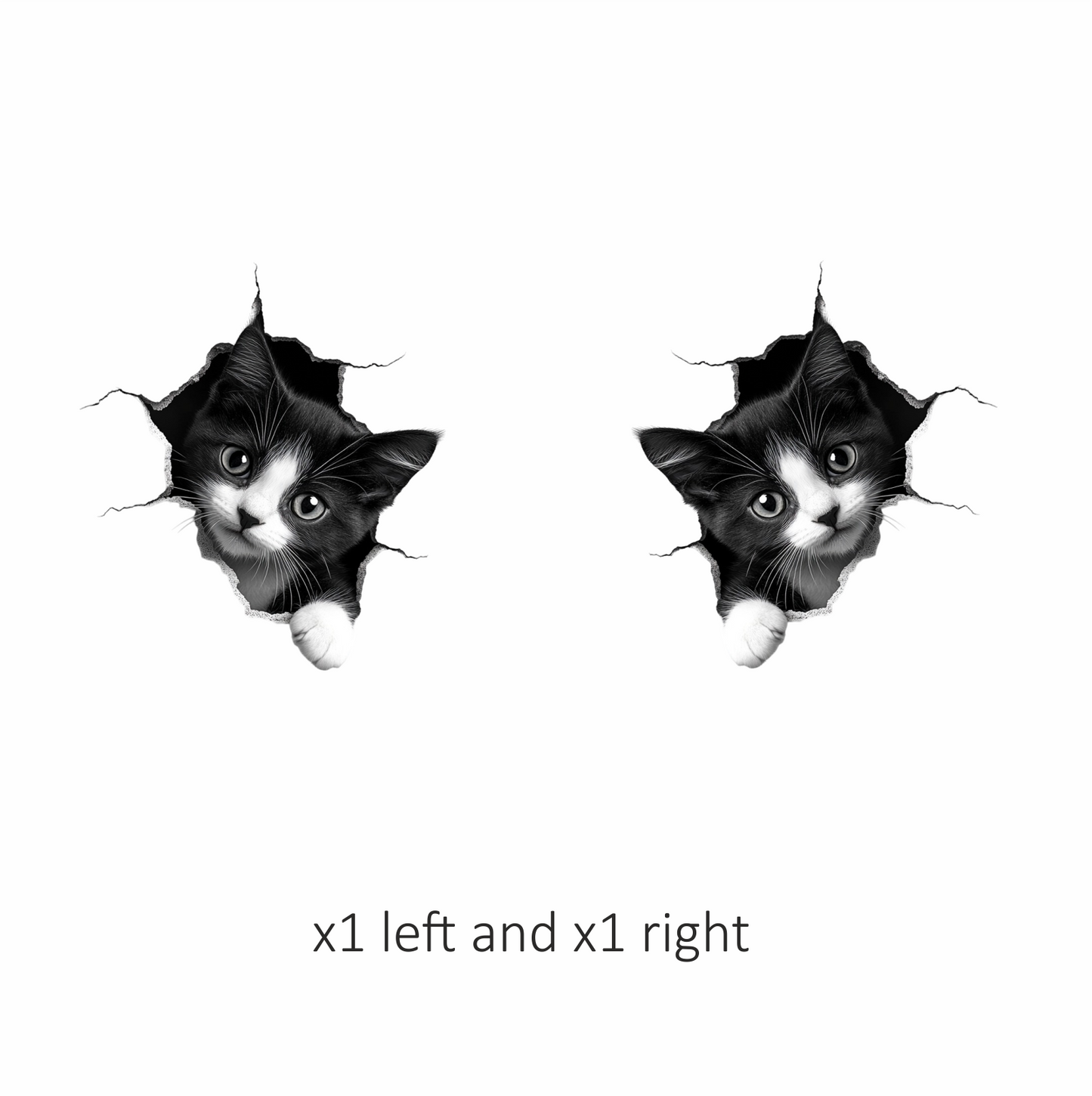 Black White Kitten With Round Eyes Vinyl Sticker Decal