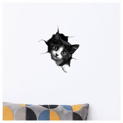 Black White Kitten With Round Eyes Vinyl Sticker Decal