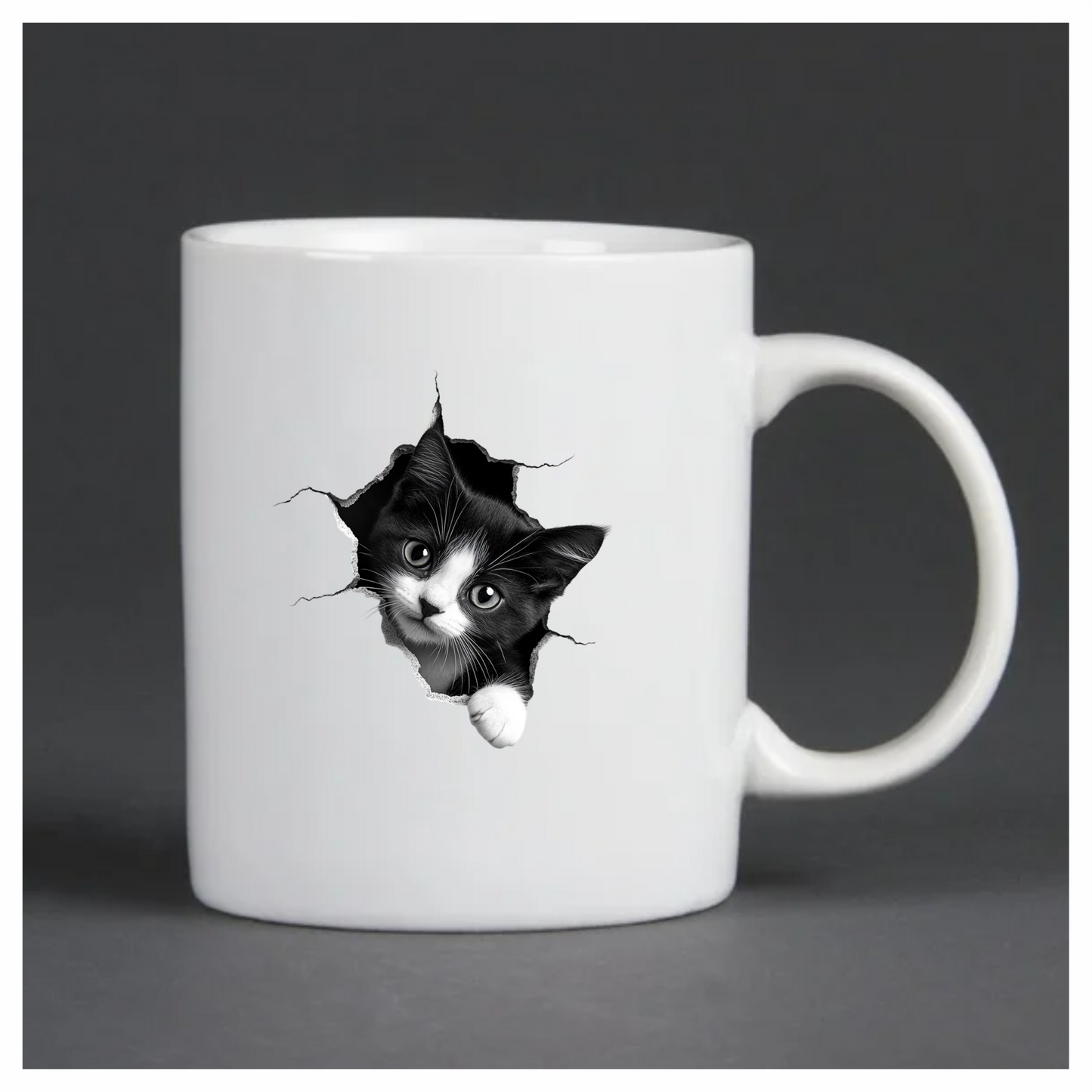 Black White Kitten With Round Eyes Vinyl Sticker Decal