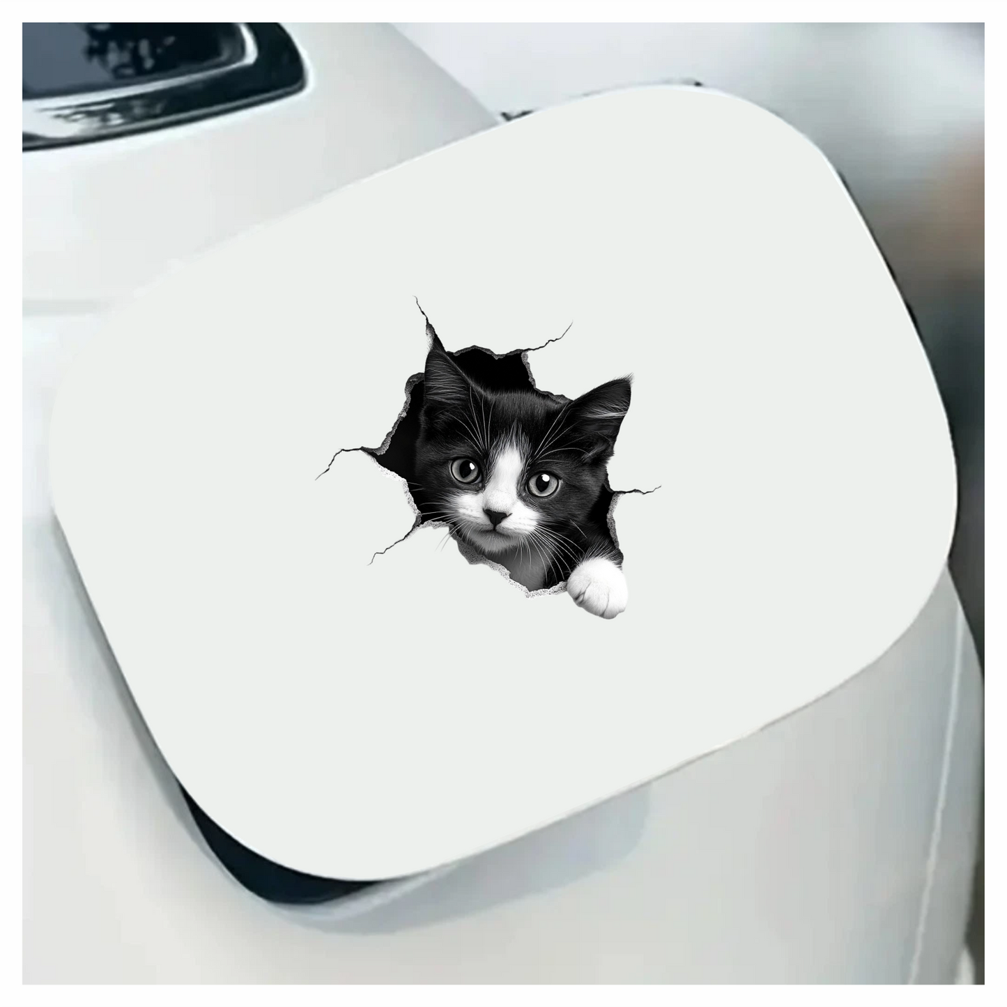 Black White Kitten With Round Eyes Vinyl Sticker Decal