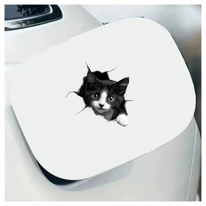 Black White Kitten With Round Eyes Vinyl Sticker Decal
