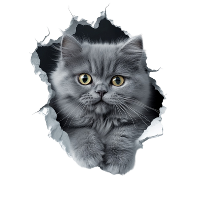 Grey Fluffy Kitten With Yellow Eyes Vinyl Sticker Decal