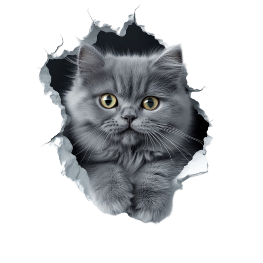 Grey Fluffy Kitten With Yellow Eyes Vinyl Sticker Decal