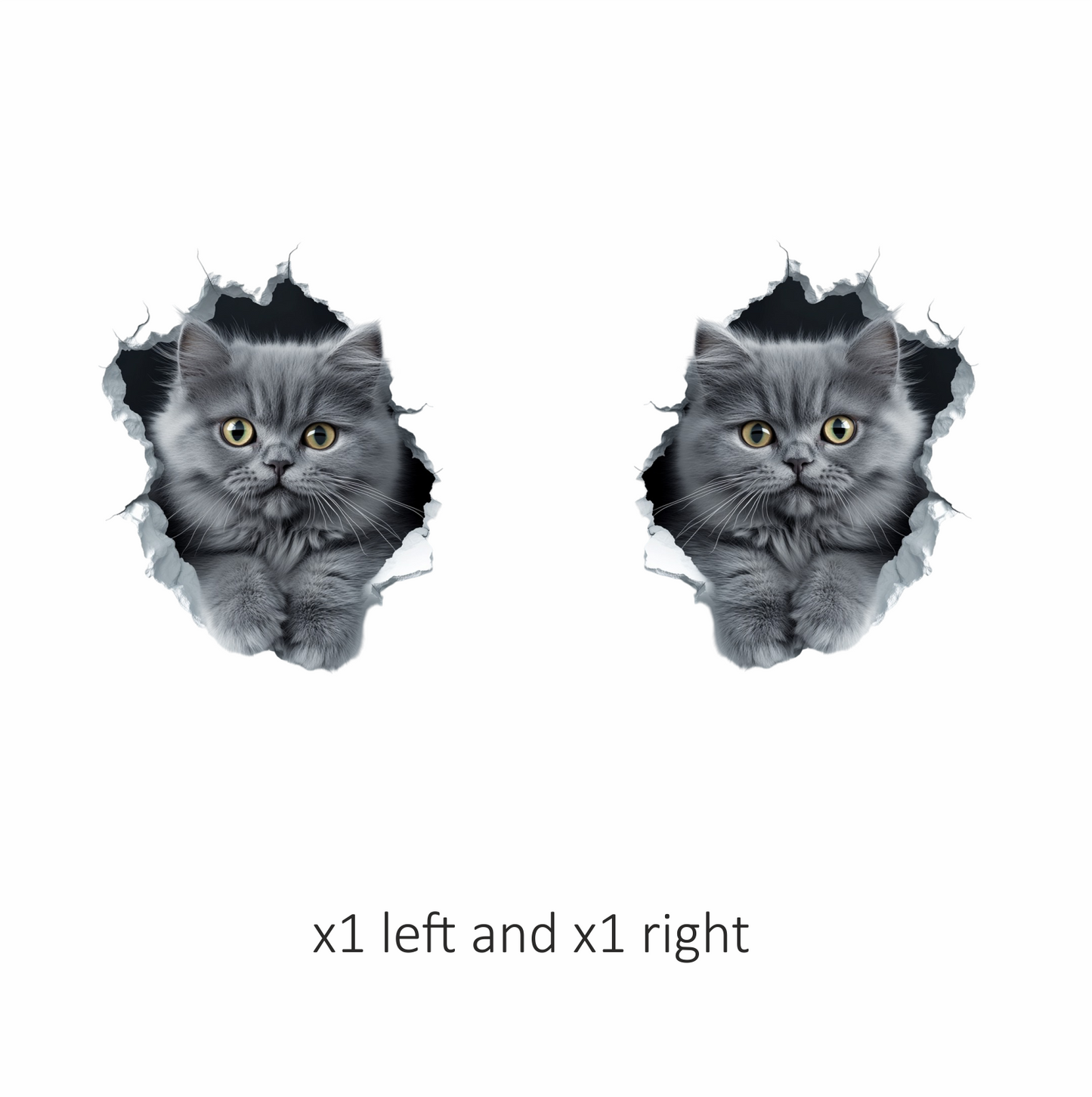 Grey Fluffy Kitten With Yellow Eyes Vinyl Sticker Decal