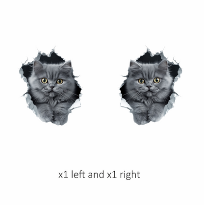 Grey Fluffy Kitten With Yellow Eyes Vinyl Sticker Decal