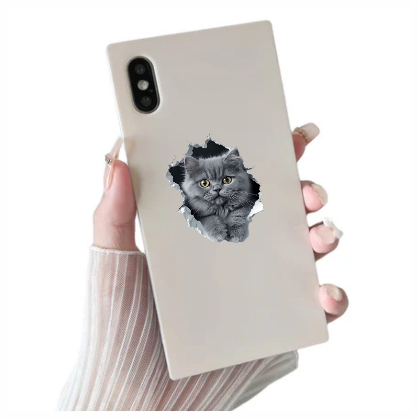 Grey Fluffy Kitten With Yellow Eyes Vinyl Sticker Decal