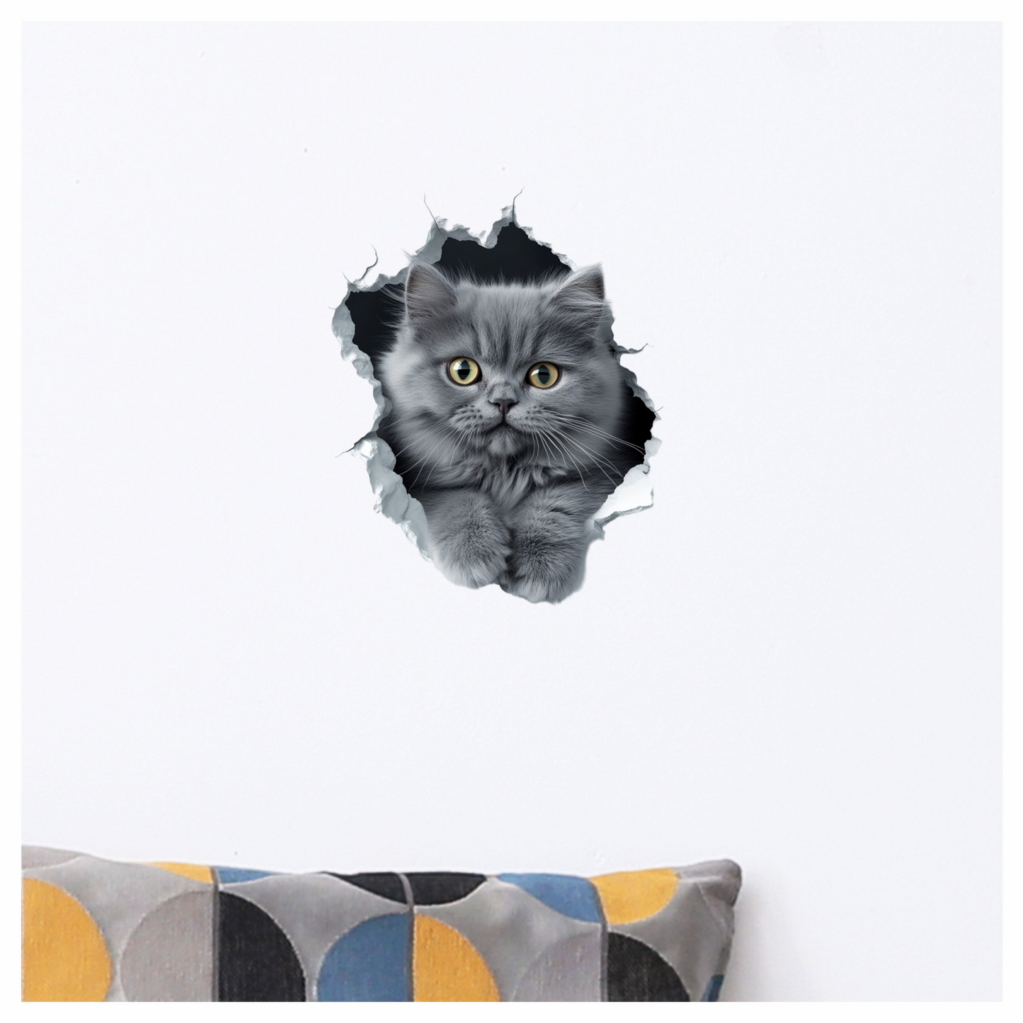 Grey Fluffy Kitten With Yellow Eyes Vinyl Sticker Decal