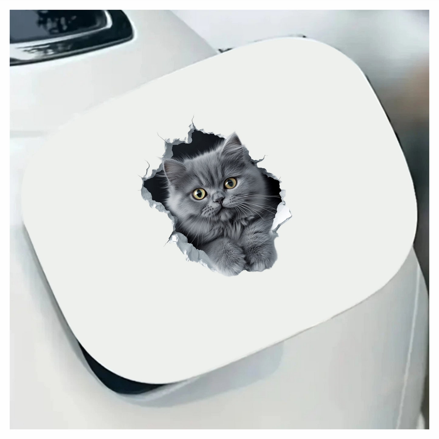 Grey Fluffy Kitten With Yellow Eyes Vinyl Sticker Decal