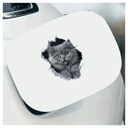 Grey Fluffy Kitten With Yellow Eyes Vinyl Sticker Decal