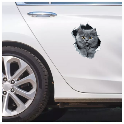 Grey Fluffy Kitten With Yellow Eyes Vinyl Sticker Decal