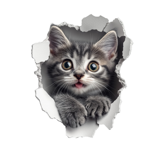 Grey Tabby Kitten With Green Eyes Vinyl Sticker Decal