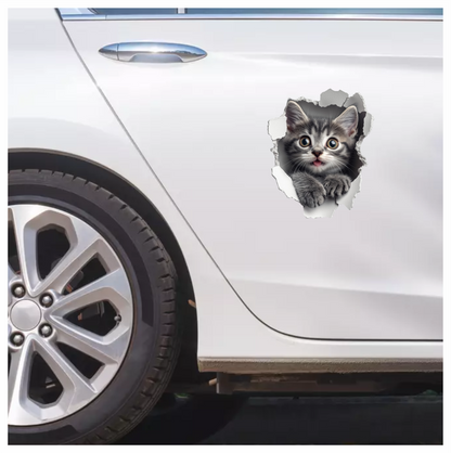 Grey Tabby Kitten With Green Eyes Vinyl Sticker Decal