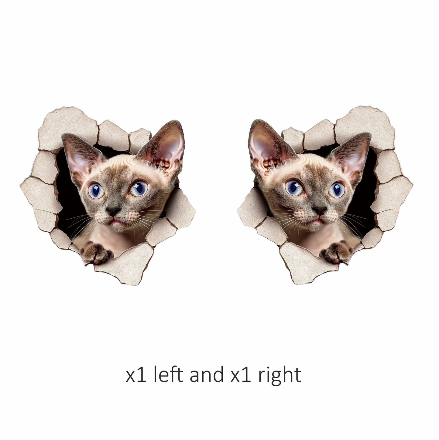 Cream Devon Rex Cat With Blue Eyes Vinyl Sticker Decal