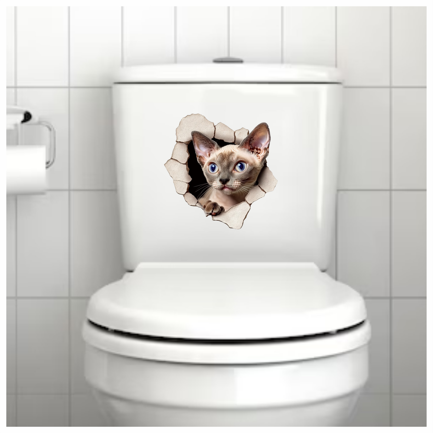 Cream Devon Rex Cat With Blue Eyes Vinyl Sticker Decal
