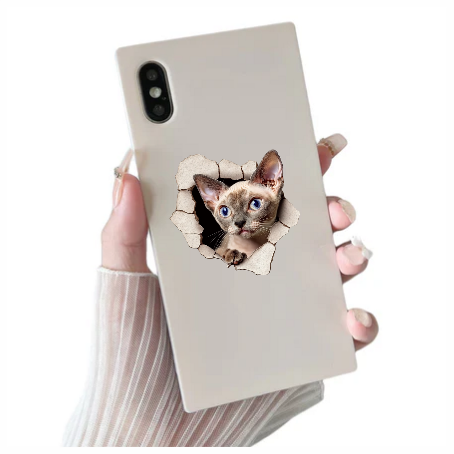Cream Devon Rex Cat With Blue Eyes Vinyl Sticker Decal