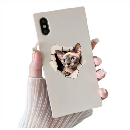 Cream Devon Rex Cat With Blue Eyes Vinyl Sticker Decal