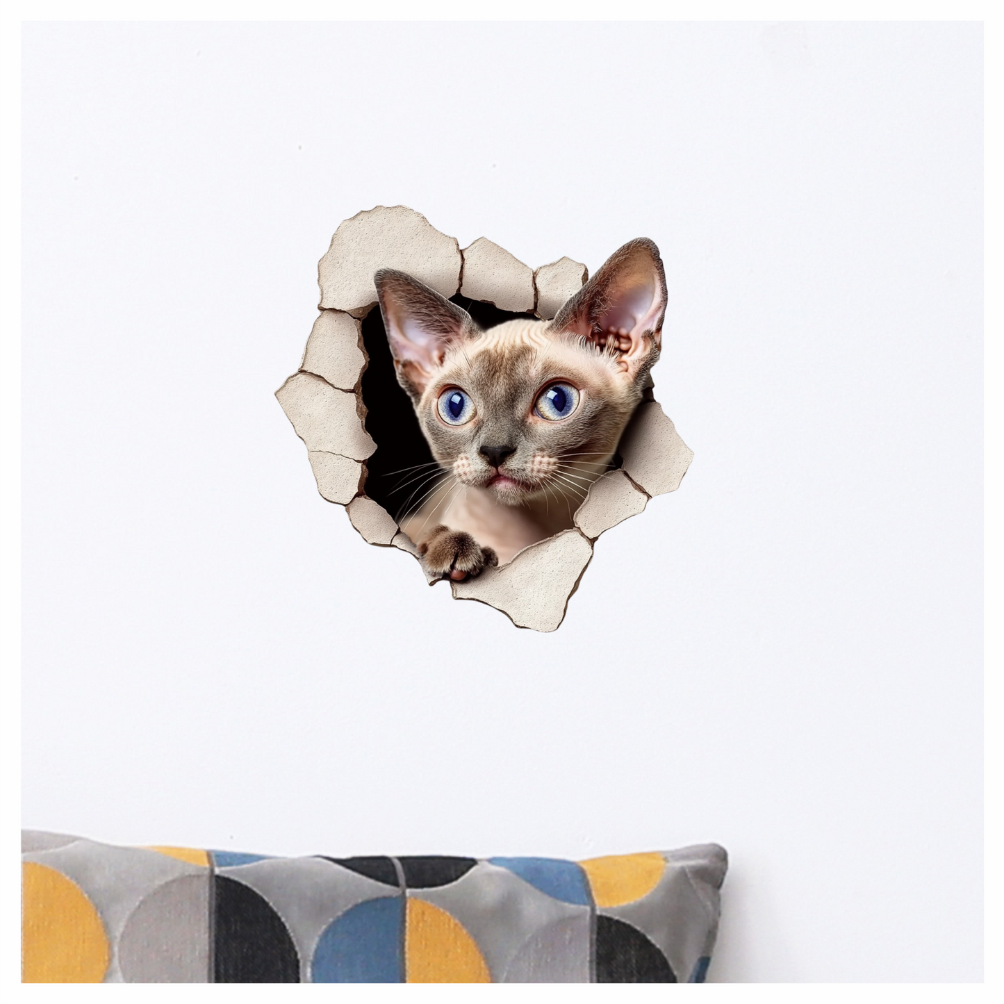 Cream Devon Rex Cat With Blue Eyes Vinyl Sticker Decal