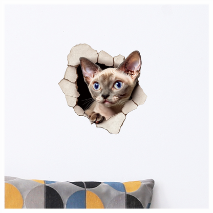 Cream Devon Rex Cat With Blue Eyes Vinyl Sticker Decal
