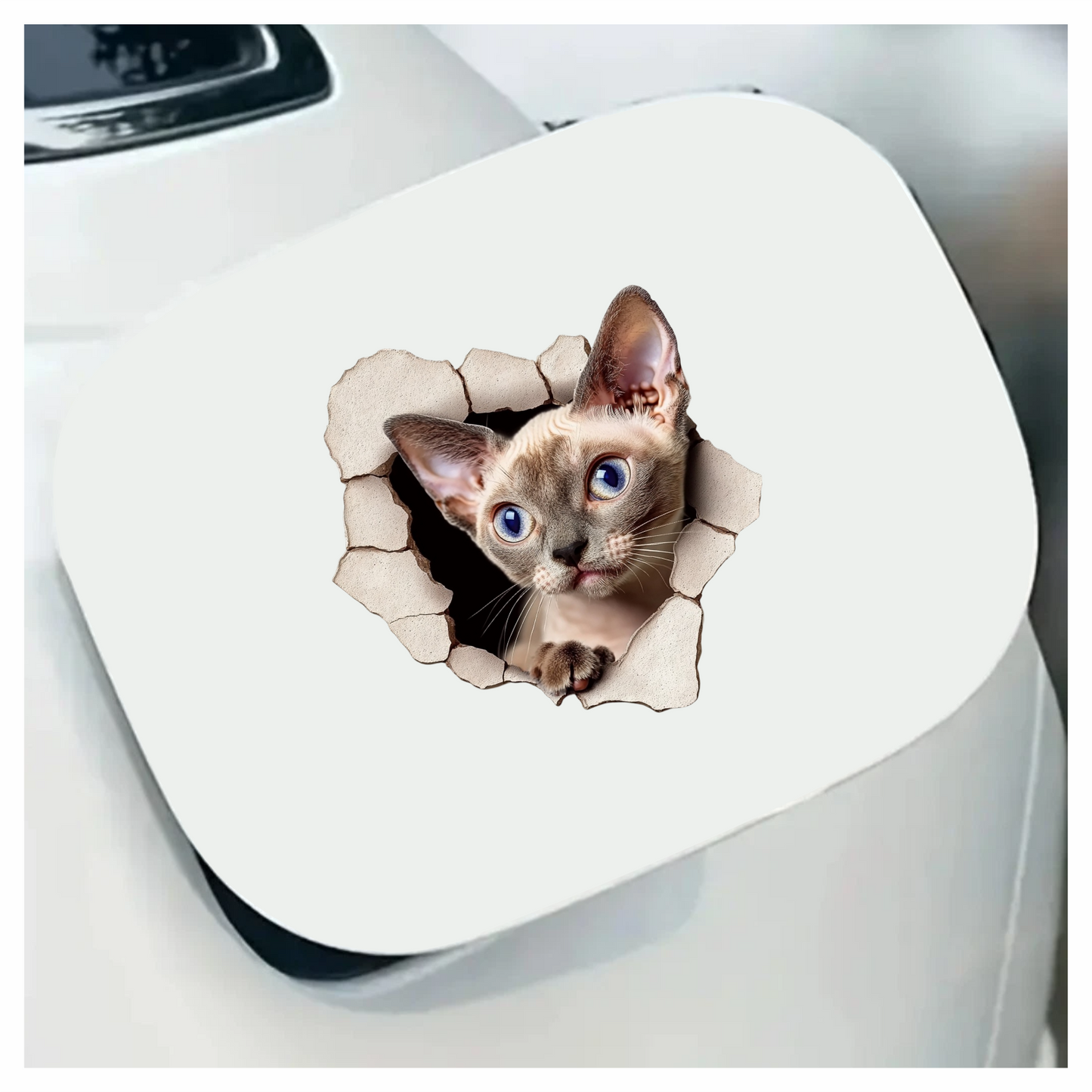 Cream Devon Rex Cat With Blue Eyes Vinyl Sticker Decal