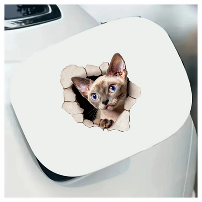 Cream Devon Rex Cat With Blue Eyes Vinyl Sticker Decal