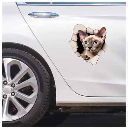 Cream Devon Rex Cat With Blue Eyes Vinyl Sticker Decal